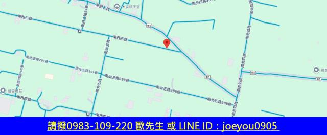 大安區農地法拍-14