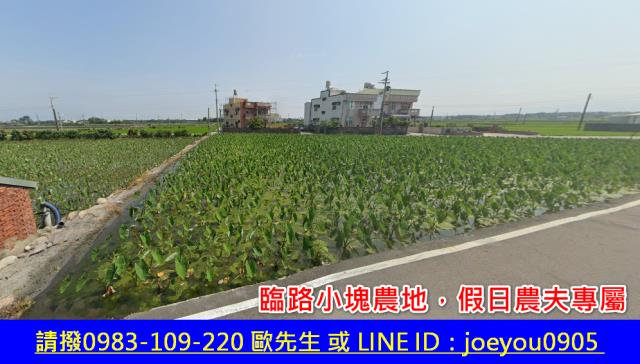 大安區農地法拍-3