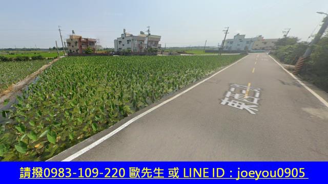 大安區農地法拍-4