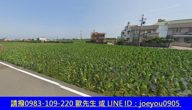 大安區農地法拍-5