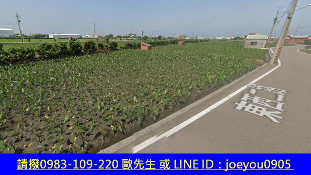 大安區農地法拍-10