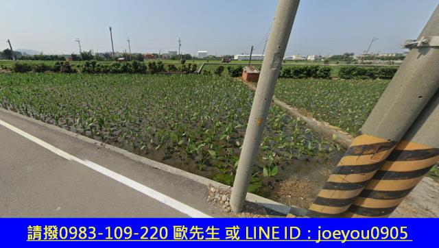 大安區農地法拍-11