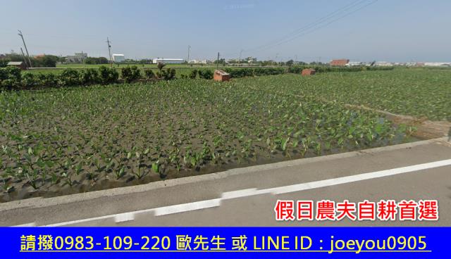 大安區農地法拍-3