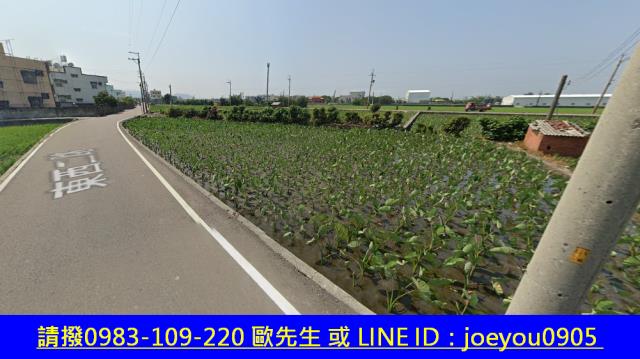 大安區農地法拍-6