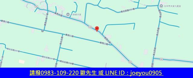 大安區農地法拍-8