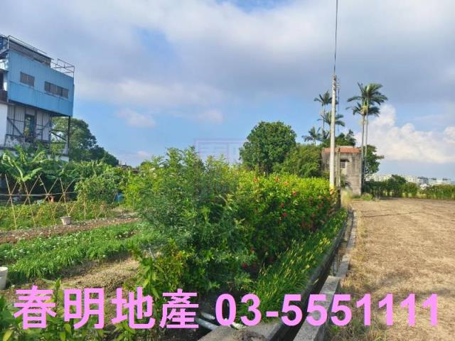 新竹竹東工業地-6