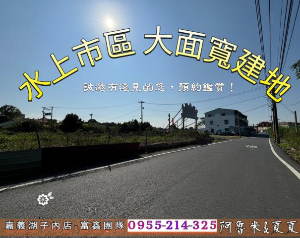 嘉義水上農地-1