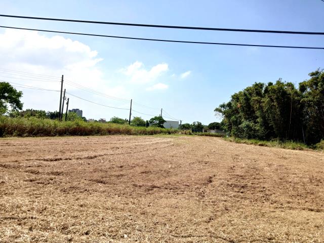 桃園大園農地-5