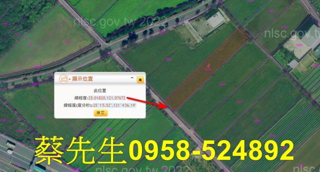 桃園觀音法拍農地-11