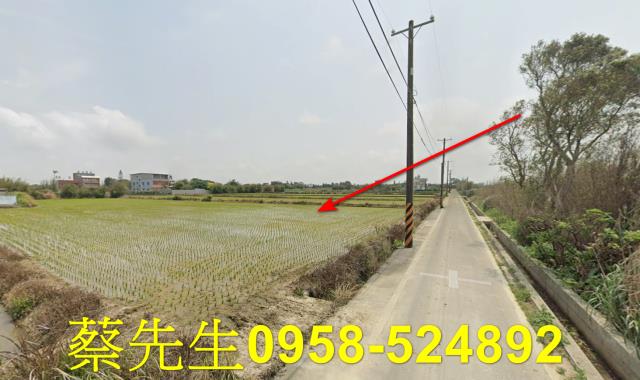 桃園觀音法拍農地-14