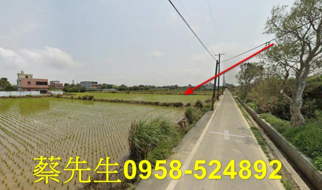 桃園觀音法拍農地-15