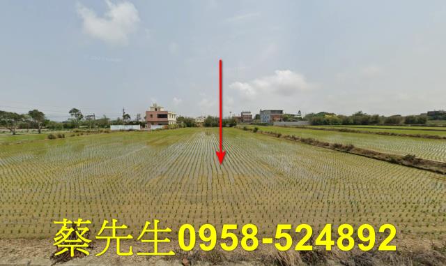 桃園觀音法拍農地-1