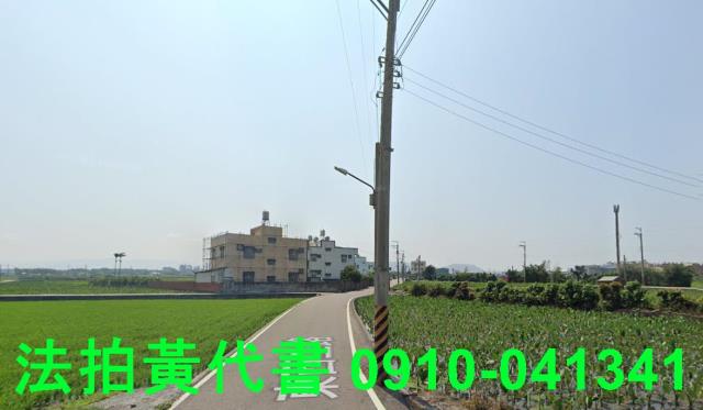 大安區農地法拍-9