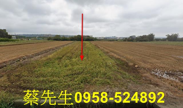 湖口農地拍賣-1