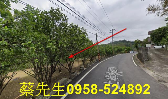 關西法拍農地-6