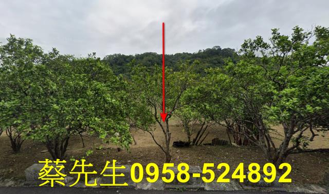 關西法拍農地-9