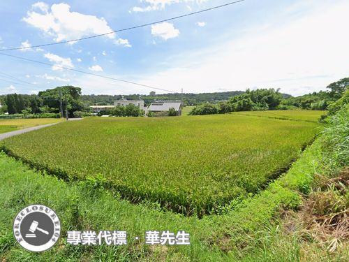 桃園楊梅農地拍賣-3