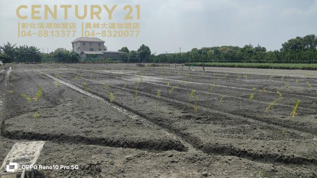 彰化田尾農地-3