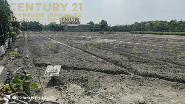 彰化田尾農地-7