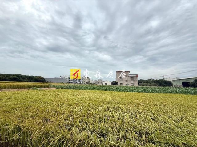 台中大雅農地-1