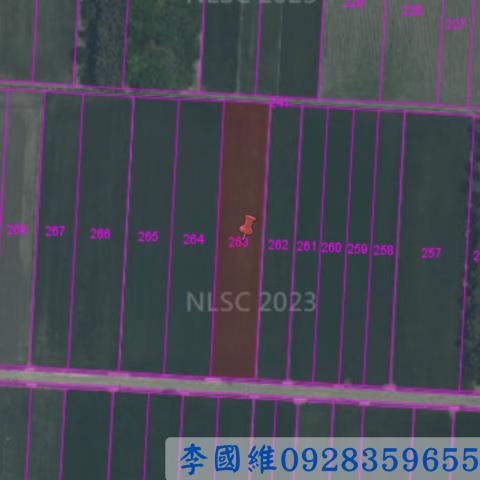 雲林水林法拍農地-3