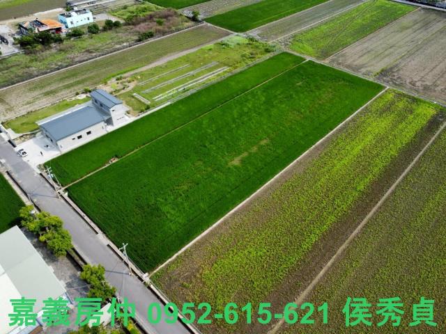 嘉義新港農地-7