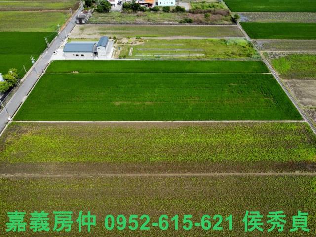 嘉義新港農地-8