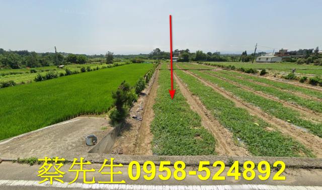 後龍法拍農地-9