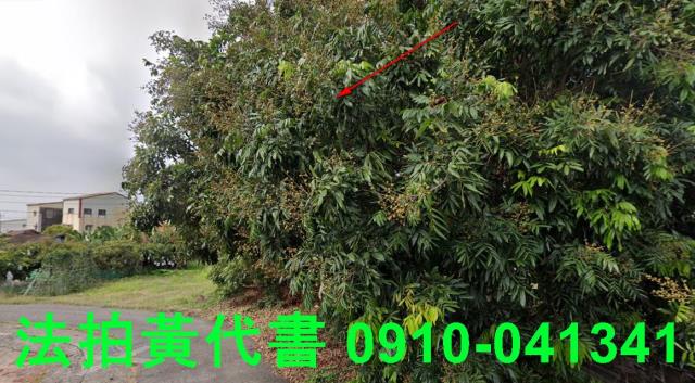 台南七股建地法拍-10