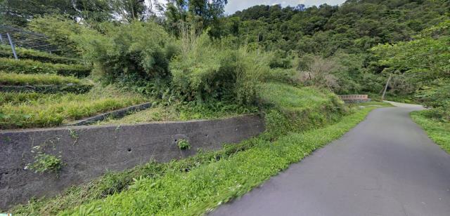 瑞芳法拍農地-5