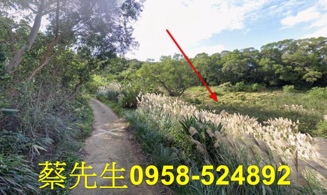 苗栗市農地拍賣-4