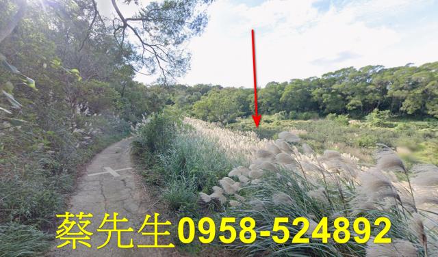 苗栗市農地拍賣-5