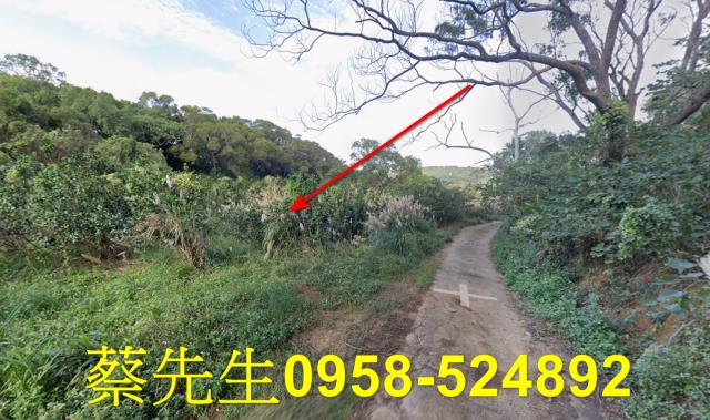 苗栗市農地拍賣-6