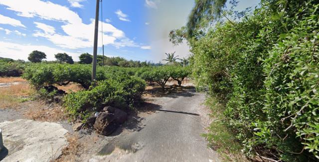 屏東枋山法拍農地-12