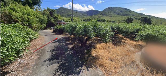 屏東枋山法拍農地-13