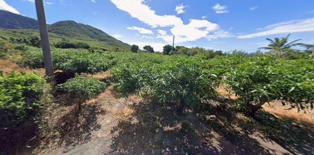 屏東枋山法拍農地-9