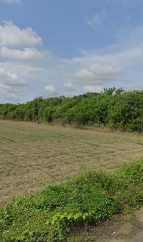 台南新營農地法拍-7