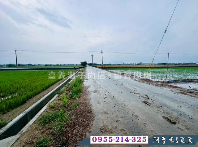 嘉義鹿草農地-3