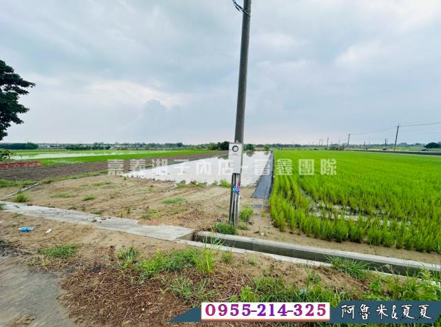 嘉義鹿草農地-4