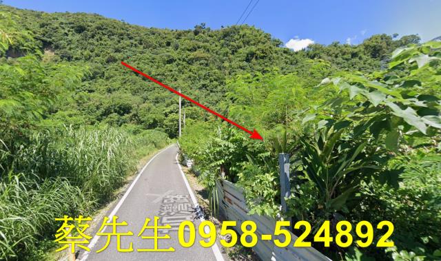 秀林拍賣農地-13