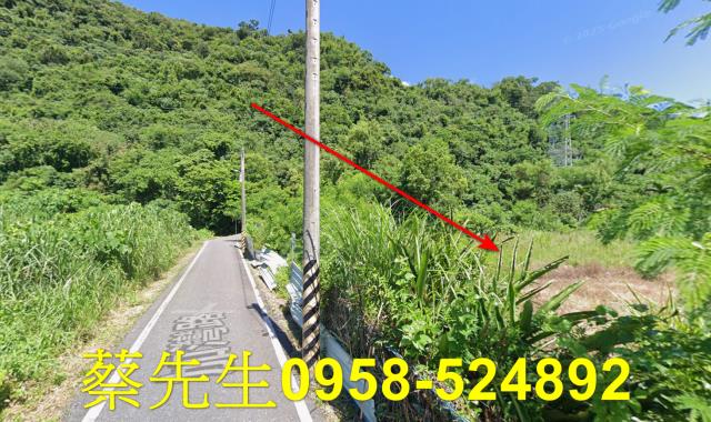 秀林拍賣農地-4