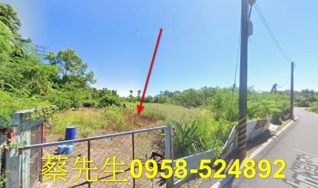 秀林拍賣農地-7