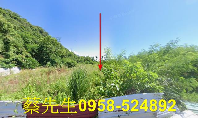 秀林拍賣農地-9