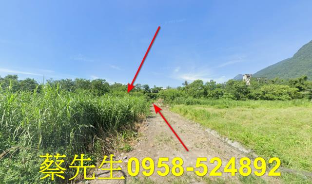 秀林法拍農地-14