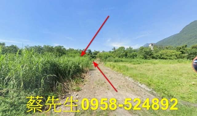 秀林法拍農地-1