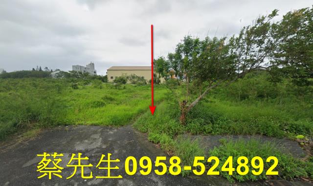 吉安建地法拍-1