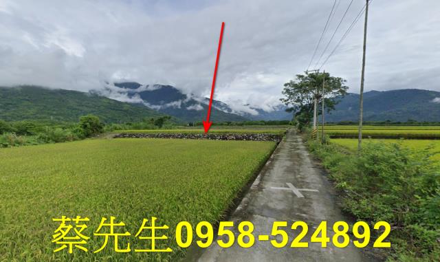 鳳林法拍農地-5