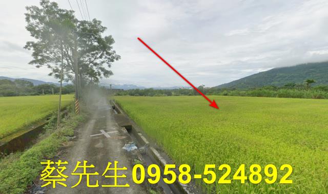 鳳林法拍農地-6