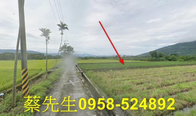 鳳林法拍農地-7