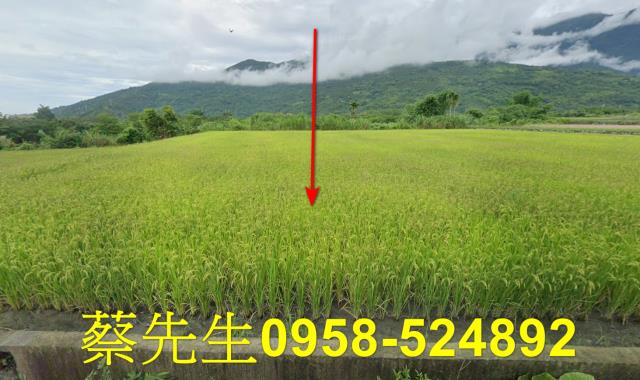 鳳林法拍農地-9